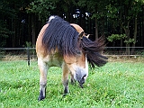 Bild 023